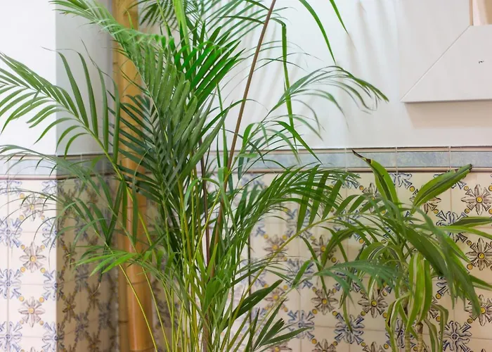 Soul Of - I Apartmán *