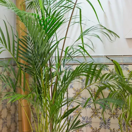 Soul Of - I Appartamento *